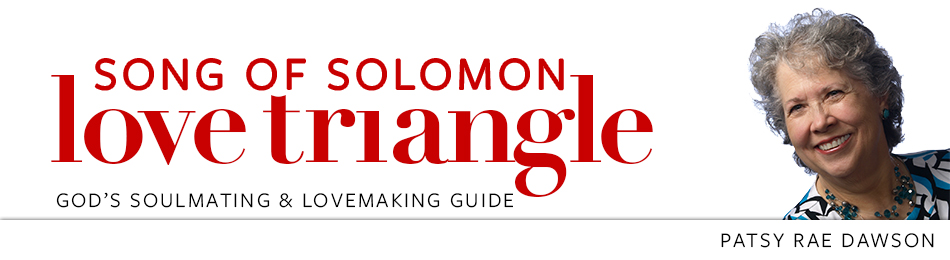 Song of Solomon Love Triangle–God's Soulmating & Lovemaking Guide for a Lifetime of Passionate Sex